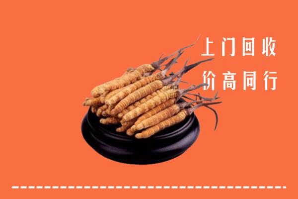 高价求购：龙井市回收散虫草