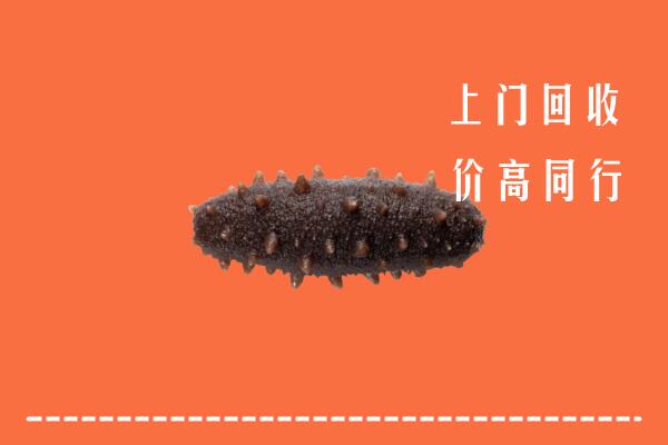 高价求购：龙井市回收海参